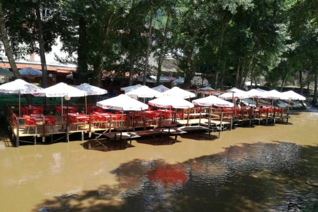 Casinha Dos Figueirais Villa Góis Buitenkant foto